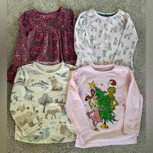 Bundle Lot 3T Toddler Long Sleeve Winter Tops